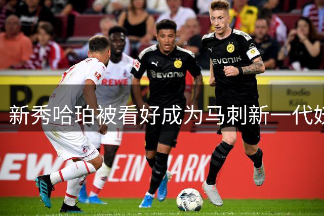 新秀哈珀被看好成为马刺新一代妖刀